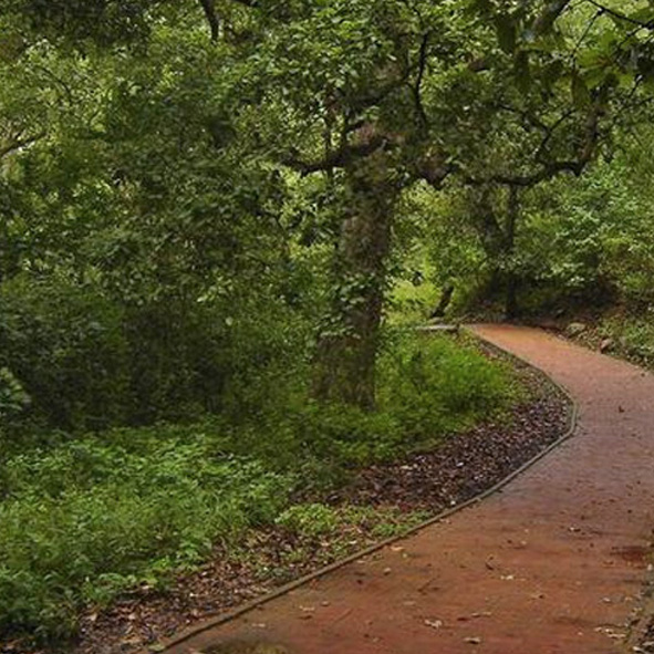 Parque Ecológico Chipinque